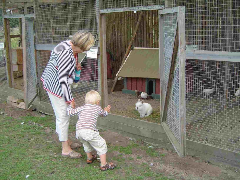 Hugo hälsar på kaninerna